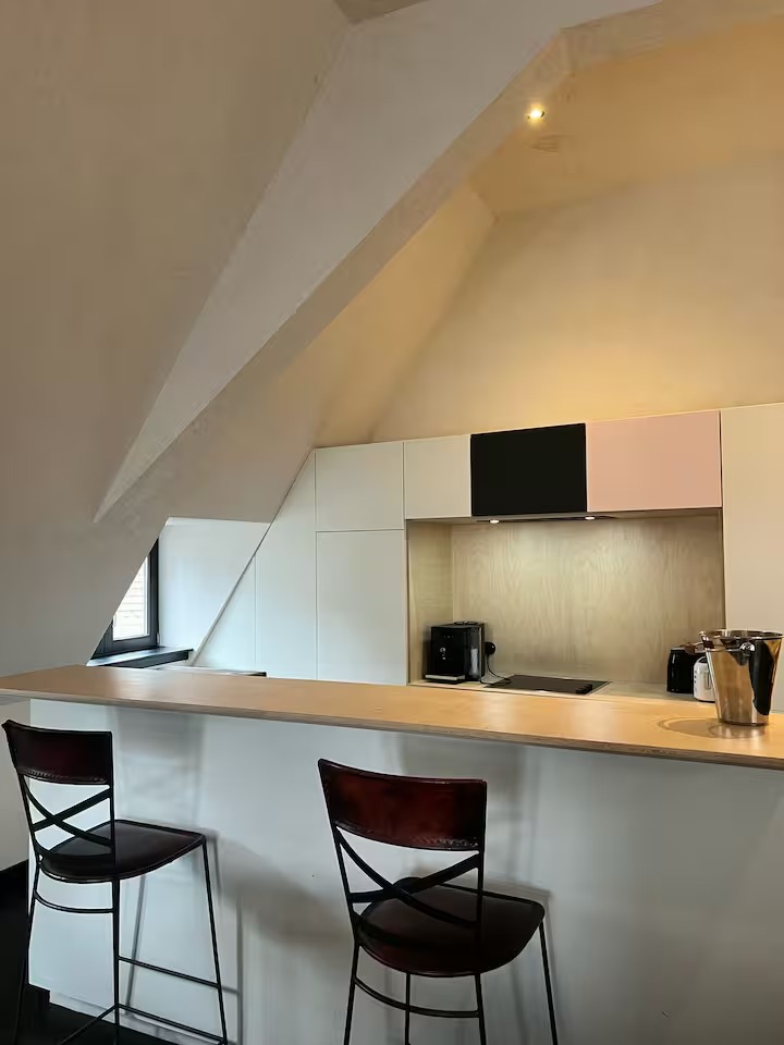 Exclusive Castle Residence with Private Gym & Terrace in the Heart of Antwerp