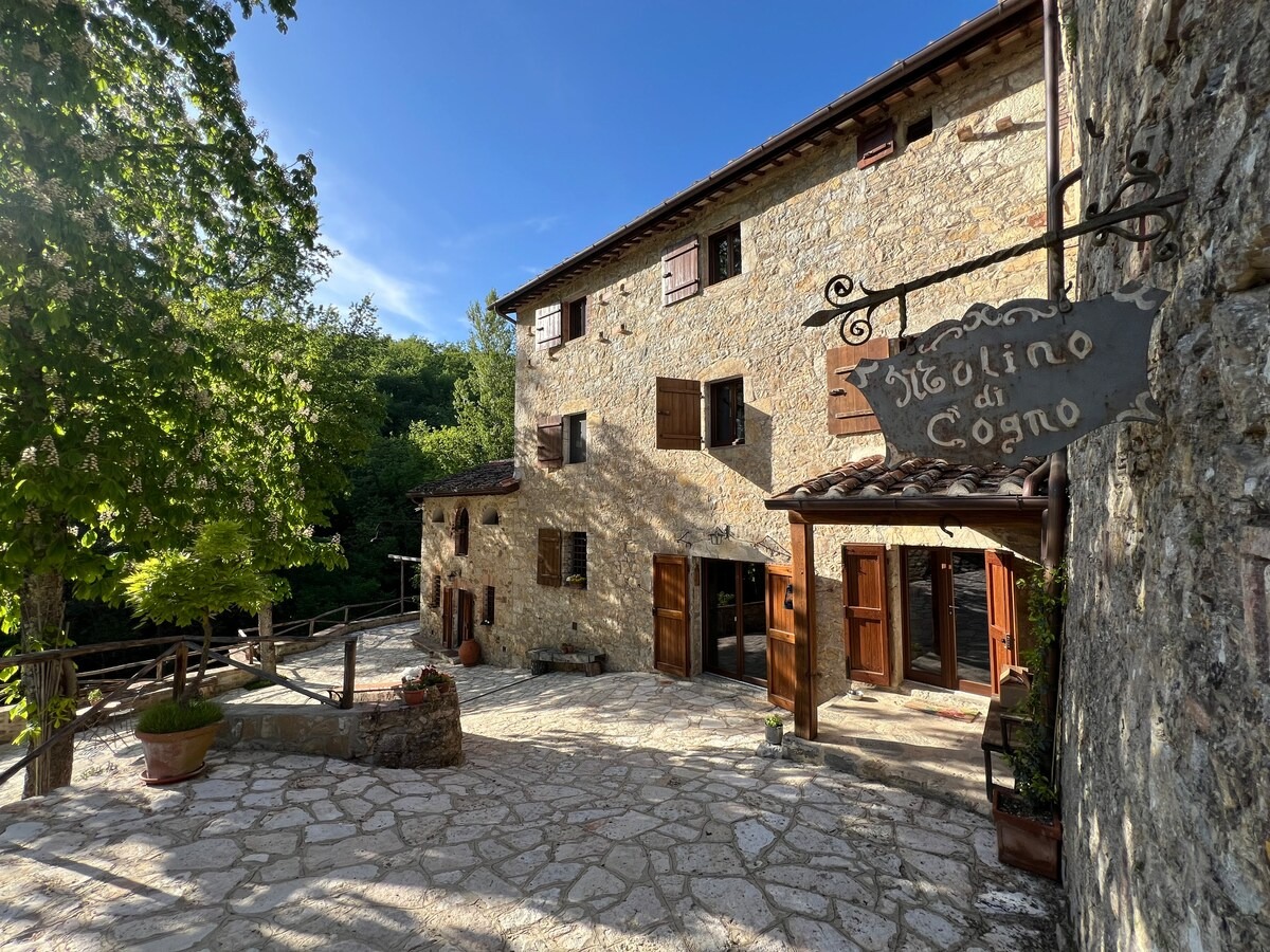 Historic Mill Apartment Surrounded by Waterfalls in Chianti